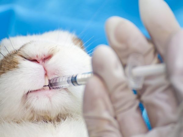 Ассоциированная вакцина для кроликов