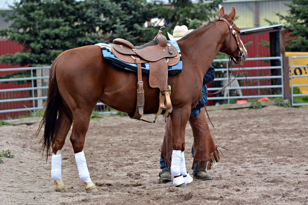 Как сделать седло для лошади своими руками