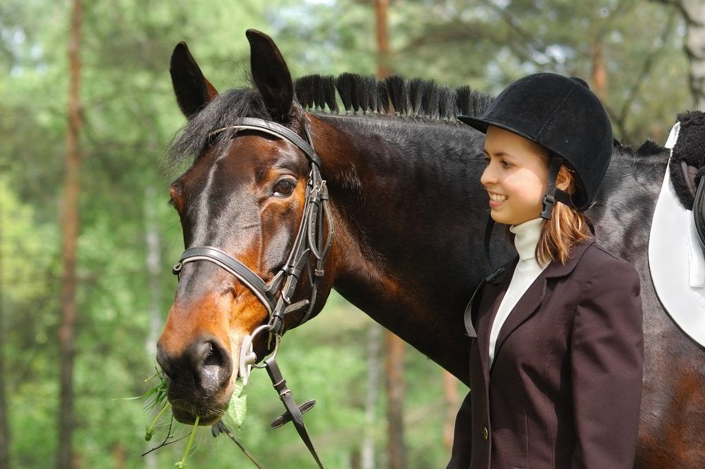 Чалая масть лошади: фото и описание