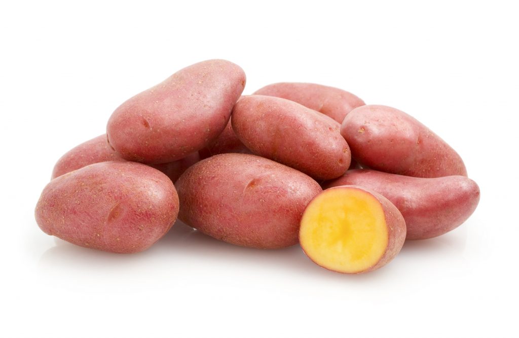 Сорт картофеля альвара фото и описание
