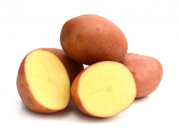 Характеристика картофеля сорта Ароза