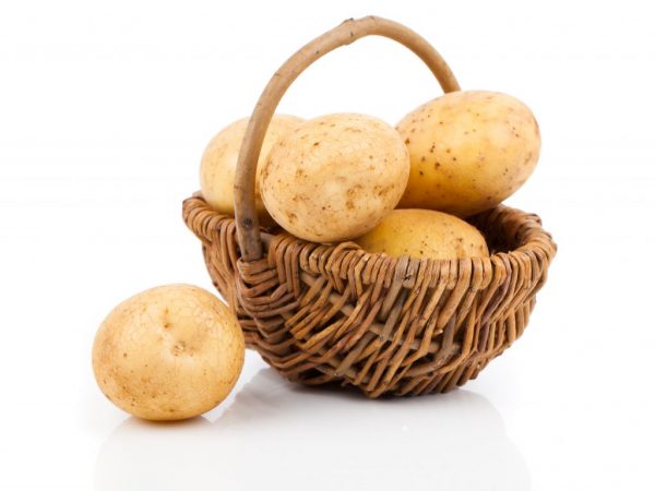Описание картофеля Елизавета