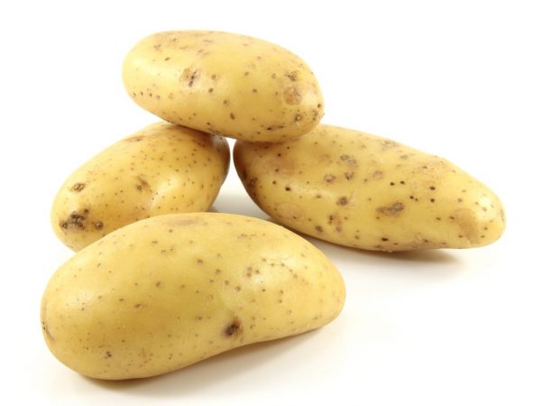 Описание картофеля Императрица