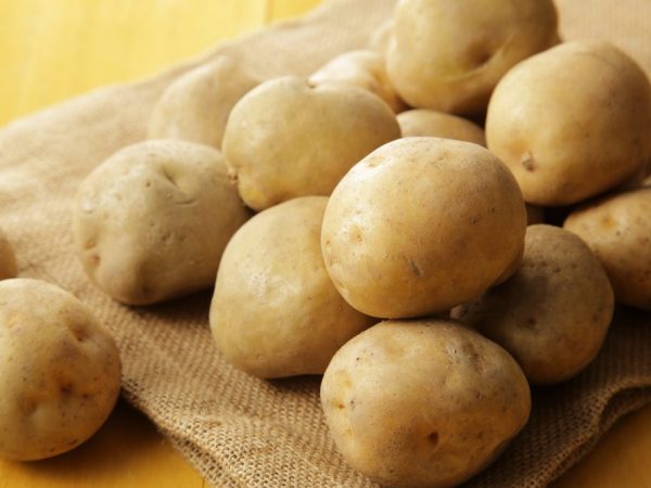 Характеристика картофеля сорта Лилея