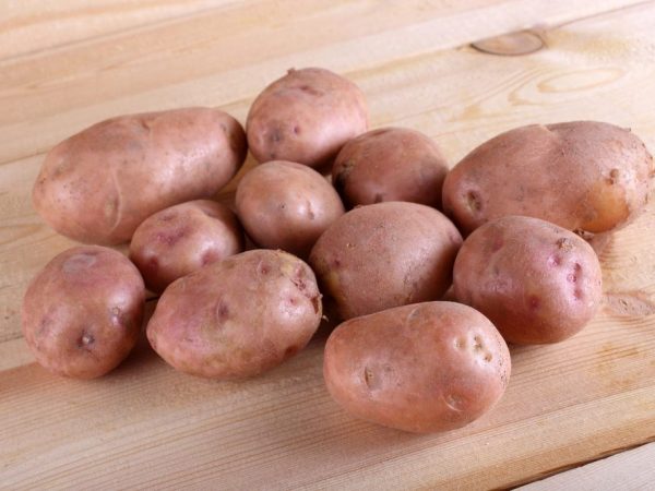 Описание картофеля Синеглазка