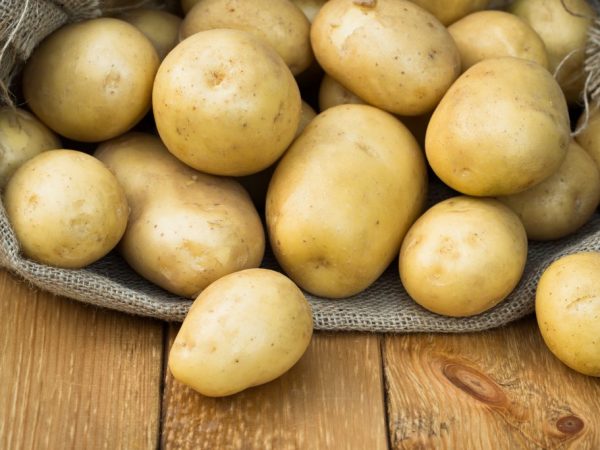 Характеристика картофеля сорта Скарб