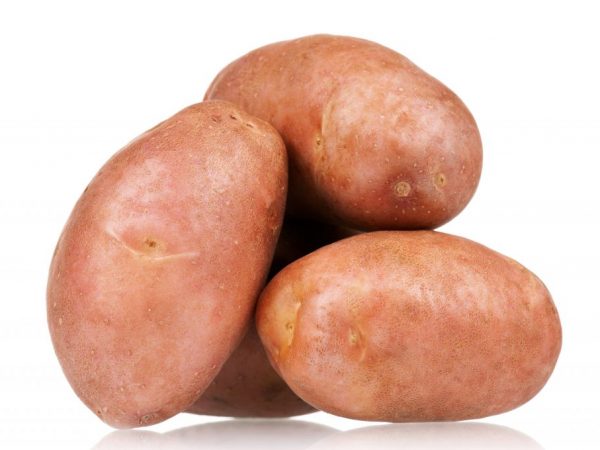 Описание картофеля Сынок