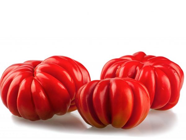 Характеристика томата сорта Американский Ребристый