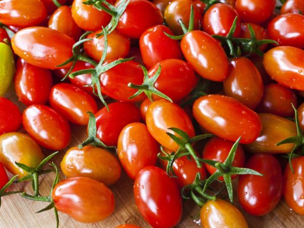 Характеристика томатов сорта Хохлома