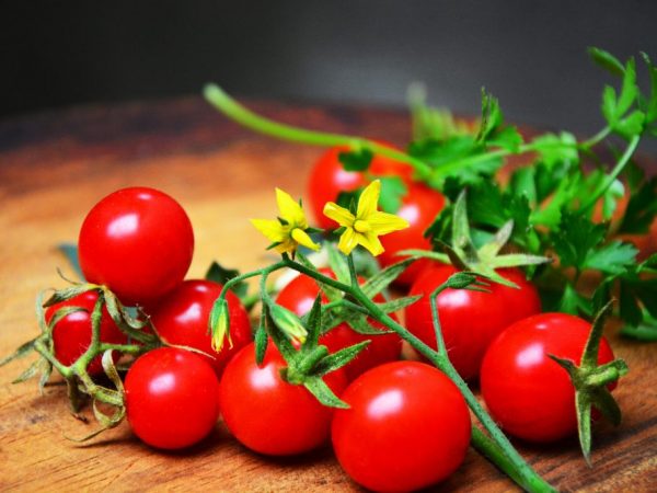Лучшие сорта томатов седек: посадка и уход