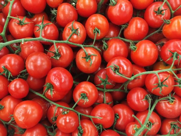 Характеристика сортов красных томатов черри