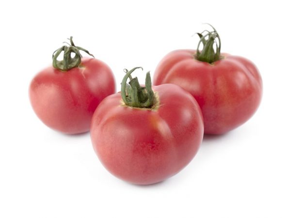 Характеристика сорта томатов Розовое чудо