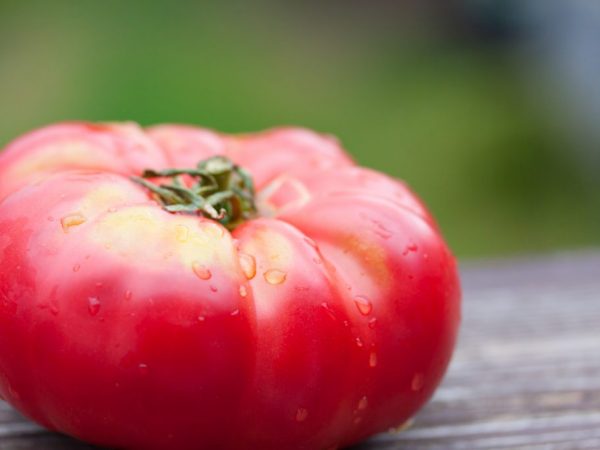 Характеристика сорта томатов Сибирский козырь
