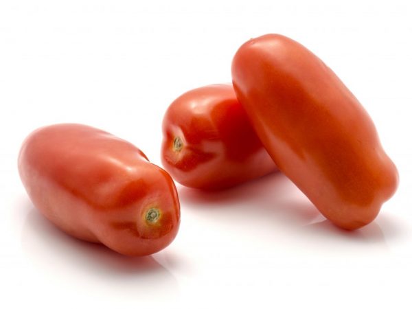 Характеристика сорта томатов Сибирский сюрприз