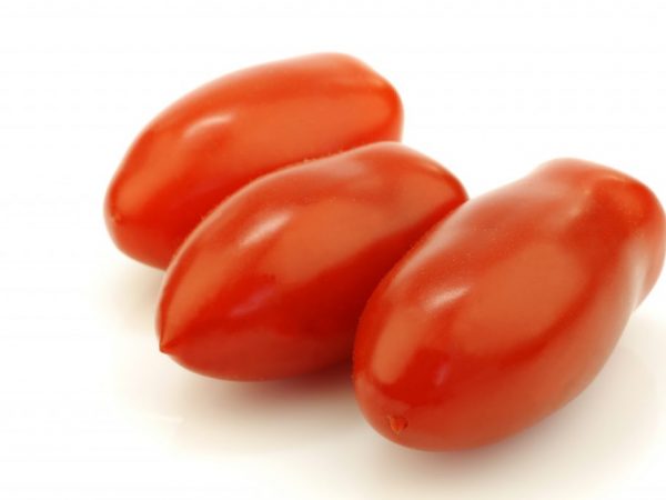 Характеристика томатов сорта Торквей
