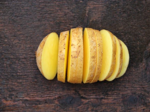 Картофель Винета легко переносит засуху