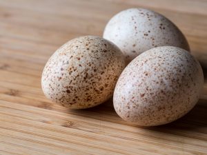Польза и вред индюшиных яиц