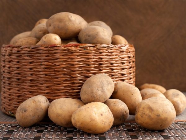 Ящик для картошки своими руками в коридоре