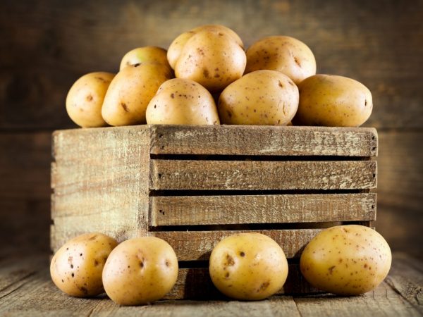 Правила изготовления ящика для картофеля