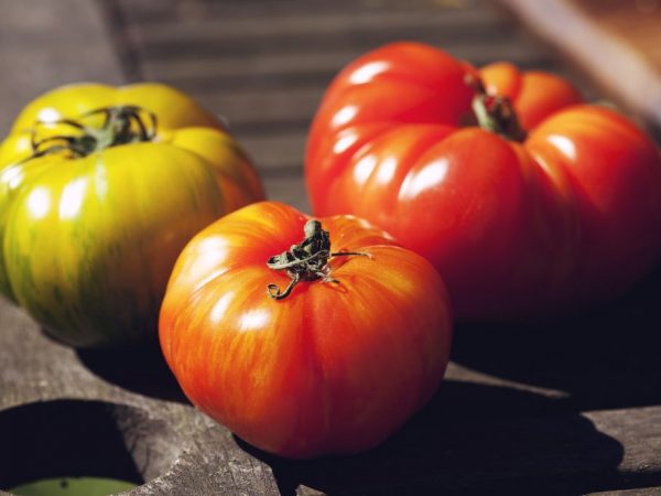 Характеристика и описание Юсуповских помидор