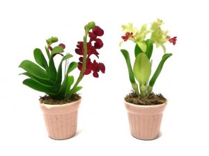 Польза серамиса для орхидеи