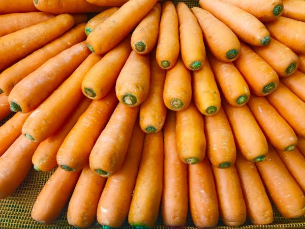 Характеристика моркови Абако