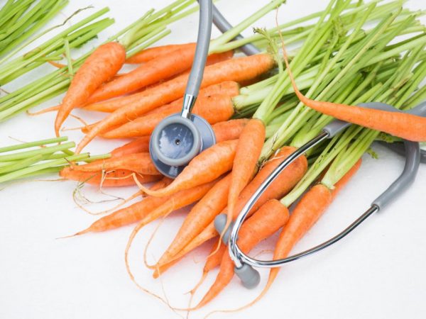 Какие существуют вредители и болезни моркови