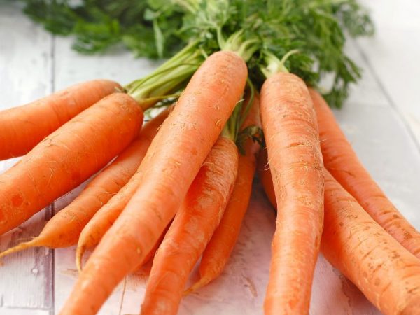 С помощью подкормки и удобрений можно защитить морковь