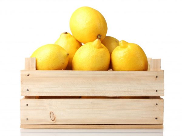 Хранение лимона в домашних условиях