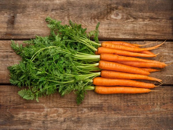 Интересные факты про морковь