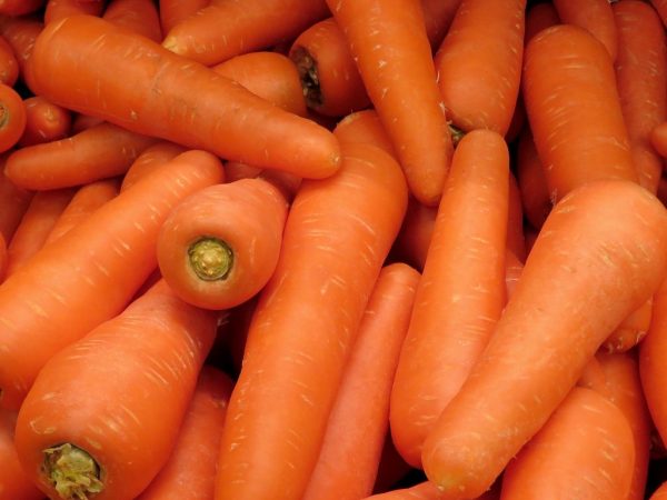 Характеристика моркови Канада