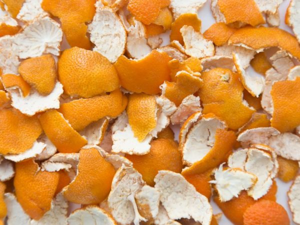 Апельсиновые корки избавят от нашествия насекомых