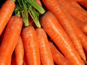 Характеристика Лосиноостровской моркови