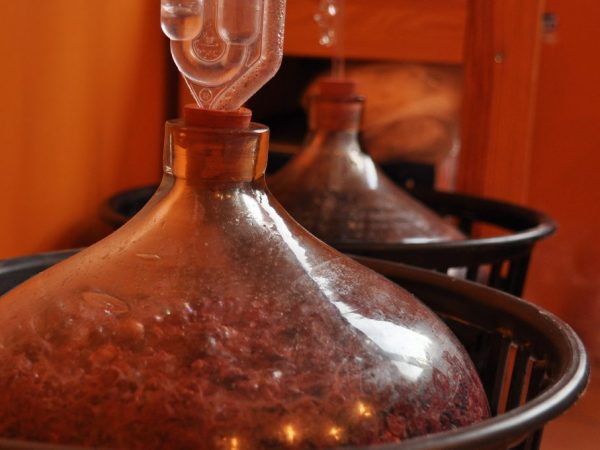 В приготовлении разных сортов вин используется мезга