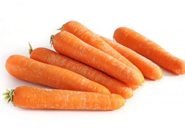 Характеристика моркови сорта Нантская