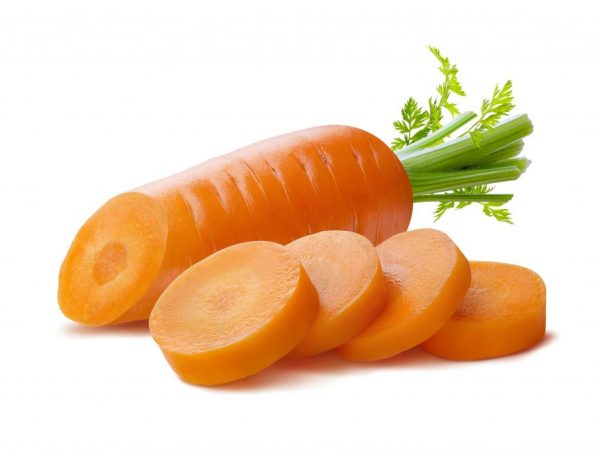 Польза и вред моркови для людей