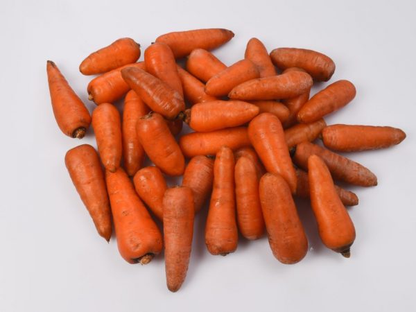 Описание сорта моркови Ред Кор