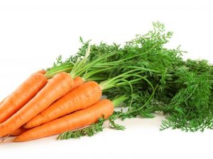 Сорта моркови для Сибири