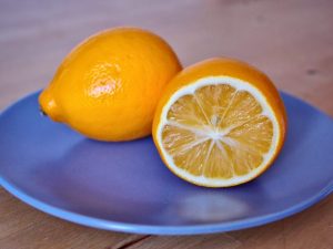 Выращивание Ташкентского лимона