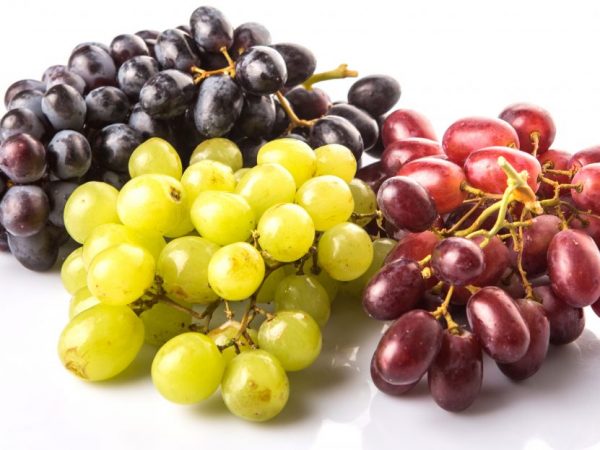 Польза белого и чёрного винограда