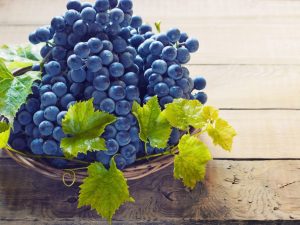 Особенности винограда без косточек