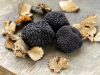 Сорт грибов Черный трюфель