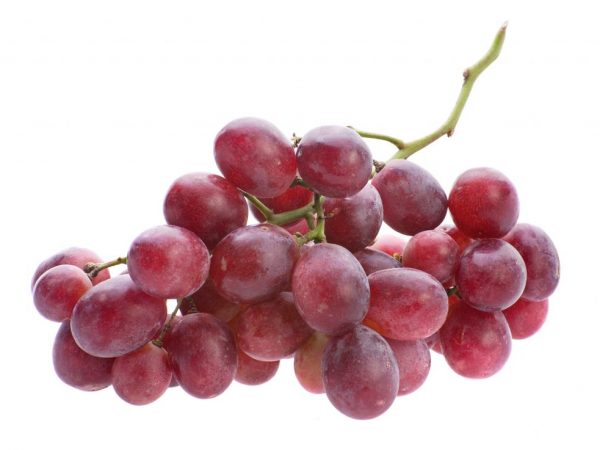 Особенности винограда Хамелеон