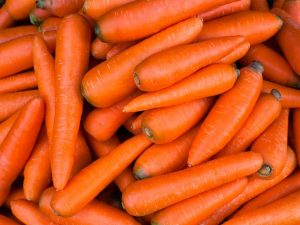 Полезно ли давать животным морковь