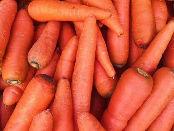 Вырастить хорошую морковь не сложно