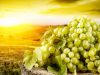 Полезные свойства зеленого винограда