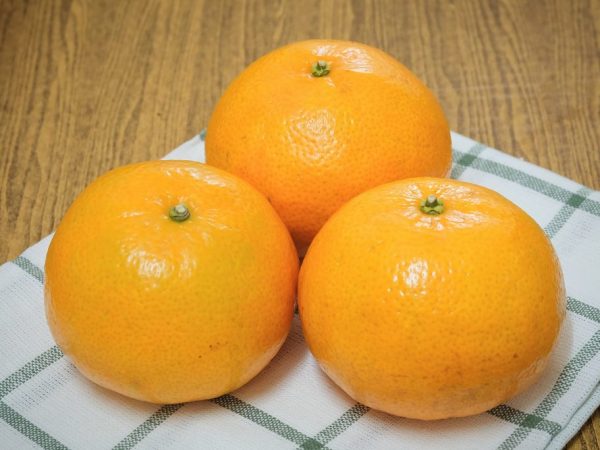 frukt-ili-yagoda-600x450.jpg
