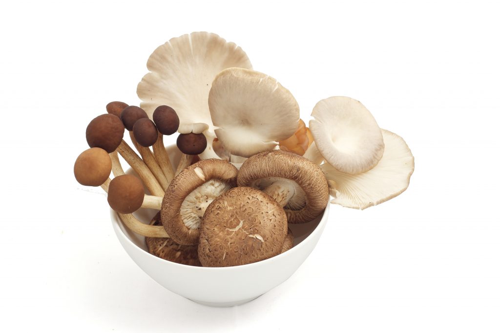 Шампиньоны это белок. Грибы при диабете. Коровьи грибочки. Грибы курочки. Mixed Mushroom.