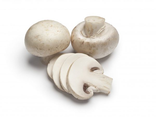 В морозилке грибы можно хранить до полугода