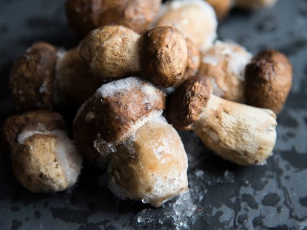 Срок хранения замороженных грибов в морозилке